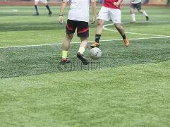 帕利尼亚击,中立柱,凯恩补射助,盛世娱乐,盛世娱乐官网,盛世娱乐官网玩家首选