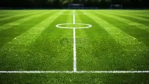 抖音上那款八音盒是何来由